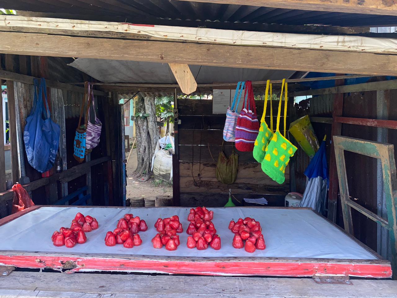 Jambu Air Merah